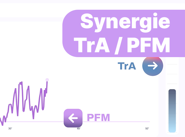 Synergie transverse perinée